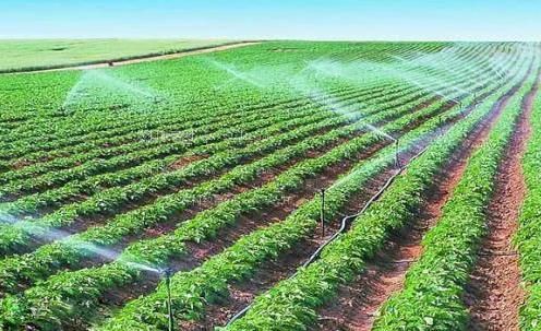 大几把插的我好舒服农田高 效节水灌溉